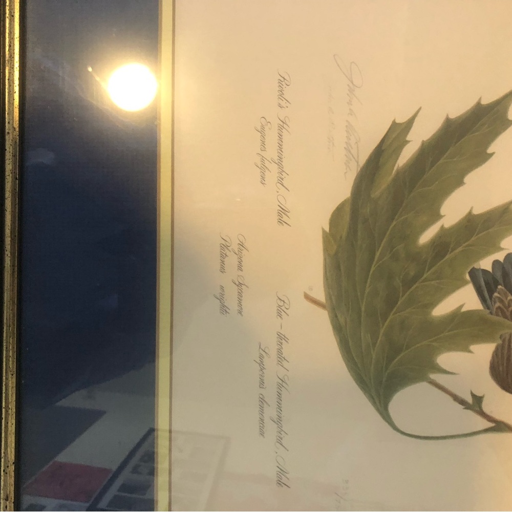 2 Botanical Art Prints with Green Leaf Accent John Ruthven Signed w/ Certificate